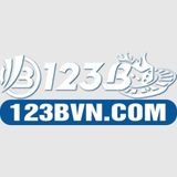 The "123bvn info" user's logo