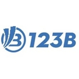 The "123b vn" user's logo