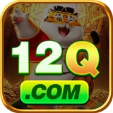 The "12q br" user's logo
