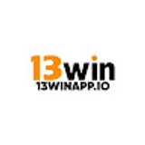 The "13WIN APPIO" user's logo