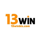 The "13winbizcom" user's logo