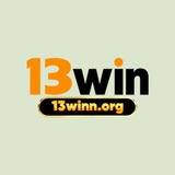 The "13winnorg" user's logo