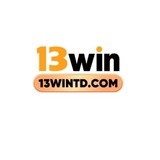 The "13WIN" user's logo