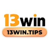 The "13WIN" user's logo