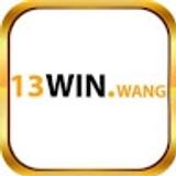 The "13win wang" user's logo