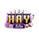 The "Haywin – Sân chơi cá cược uy tín" user's logo