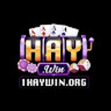 The "Haywin – Cổng game bài và giải trí đổi thưởng uy tín" user's logo