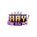 The "Haywin – Nhà cái uy tín hàng đầu cho trải nghiệm cá cược đỉnh cao" user's logo