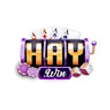 The "Haywin – Sân chơi giải trí trực tuyến đẳng cấp" user's logo