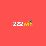 The "222WIN " user's logo