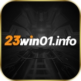 The "23win01info" user's logo