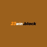 The "23WIN" user's logo