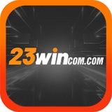 The "23wincomorg" user's logo