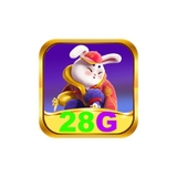 The "28g br com" user's logo