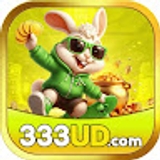 The "333UD" user's logo