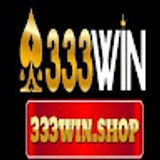 The "333Win shop" user's logo