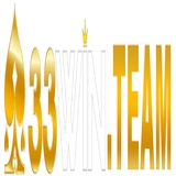 The "33WIN Team" user's logo