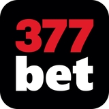 The "377bet Brasil: Apostas Esportivas" user's logo