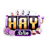 The "HAYWIN Đánh Giá Nhà Cái Casino" user's logo