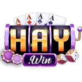 The "Haywin " user's logo