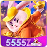 The "5555Z" user's logo