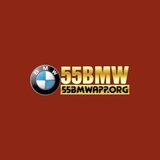 The "55bmwapporg" user's logo