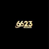 The "6623" user's logo
