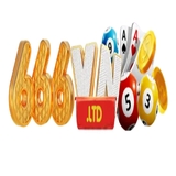 The "666VN" user's logo