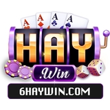 The "HAYWIN" user's logo