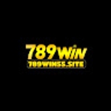 The "789WIN" user's logo