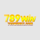 The "789Winbz Com" user's logo