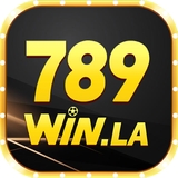 The "789WIN" user's logo