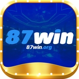 The "87winorg" user's logo