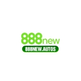 The "888newautos" user's logo