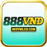 The "888vnd co com" user's logo