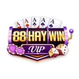 The "Haywin - Cổng Game Đổi Thưởng" user's logo