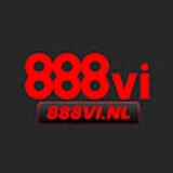 The "888Vi nl" user's logo