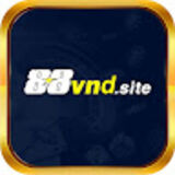 The "88Vn | Trang Chủ Chính Thức 88Vn.com | Tặng 88K" user's logo