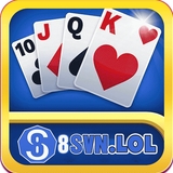The "8SVN" user's logo