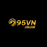 The "95VN College" user's logo