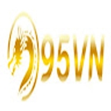 The "95Vn" user's logo