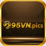 The "95VN pics" user's logo