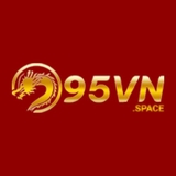The "95VN" user's logo