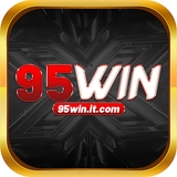 The "95winitcom" user's logo