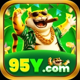 The "95y net br" user's logo