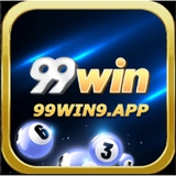 The "99win9app" user's logo
