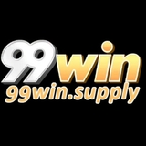 The "99winsupply" user's logo