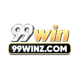 The "99Winz Com" user's logo