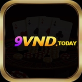 The "9vnd" user's logo
