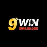 The "9windecom" user's logo
